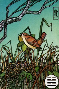 55-Abundance