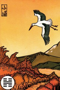 62-Small-Preponderance