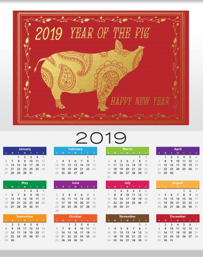 12 animali - maiale 2019 anno del maiale - calendario